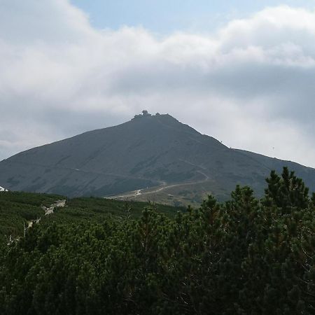 Penzion Lesni Pramen Pec pod Sněžkou Exteriér fotografie