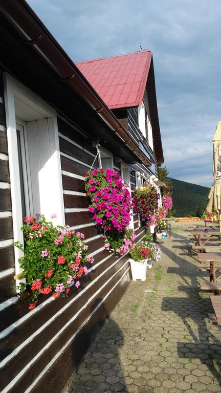 Penzion Lesni Pramen Pec pod Sněžkou Exteriér fotografie