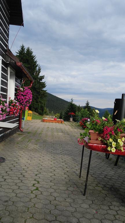 Penzion Lesni Pramen Pec pod Sněžkou Exteriér fotografie