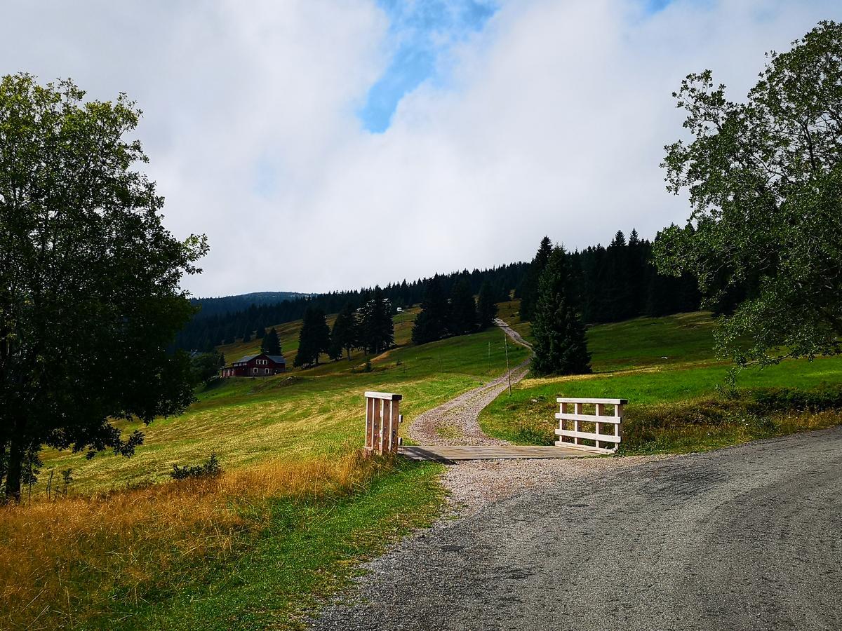 Penzion Lesni Pramen Pec pod Sněžkou Exteriér fotografie