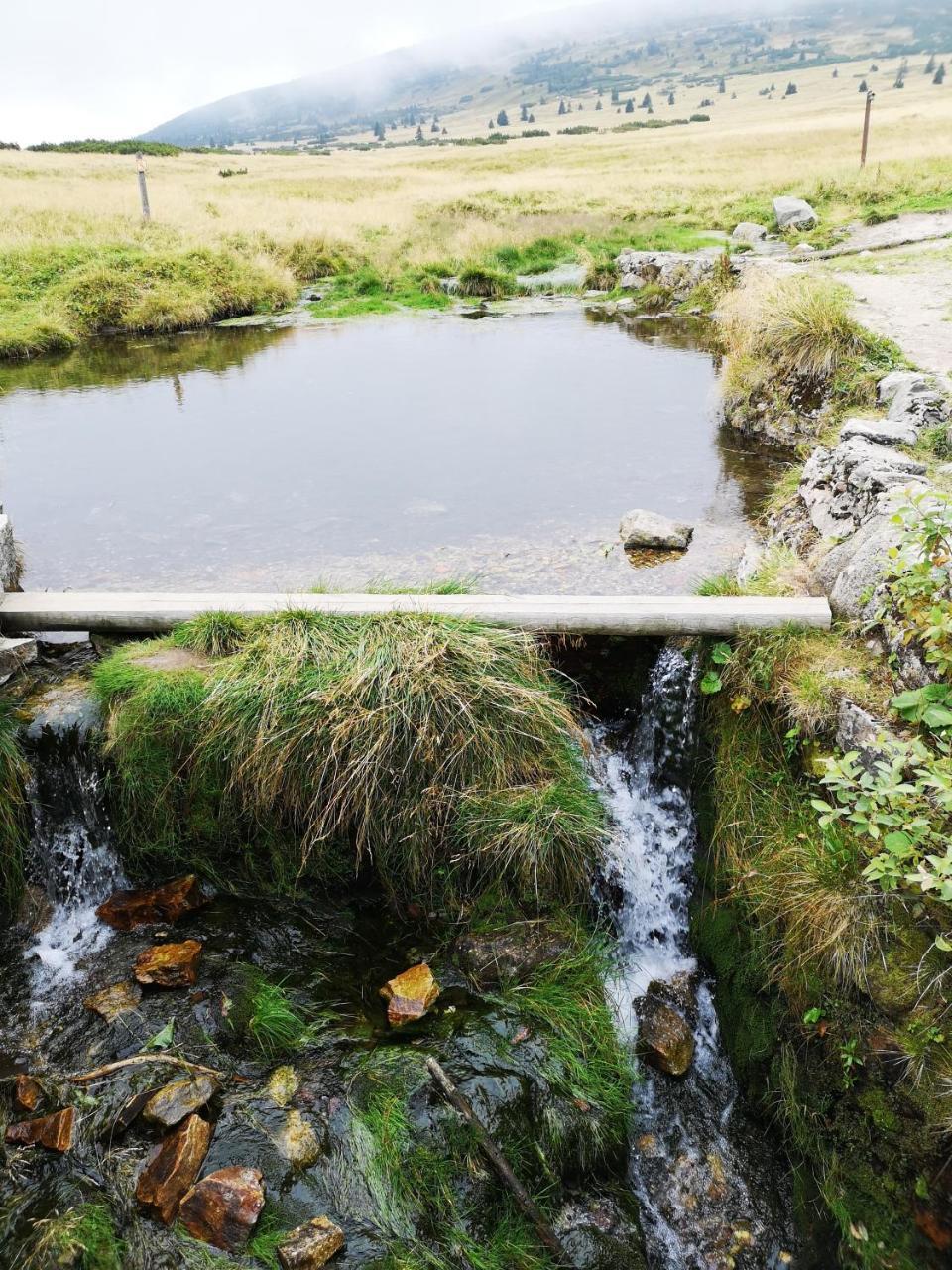 Penzion Lesni Pramen Pec pod Sněžkou Exteriér fotografie